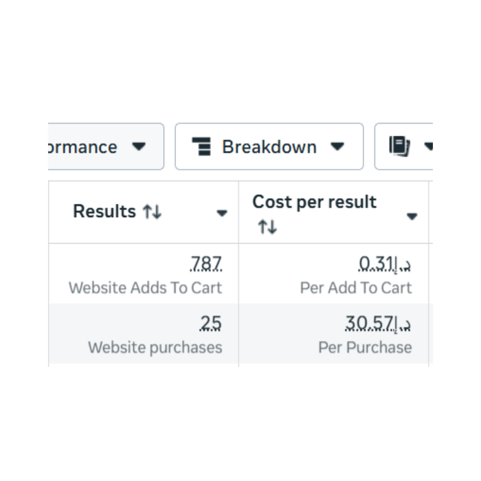 Meta Ads Case Study i Abrash Solutions